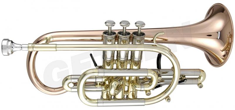 Cornet Sib Custom