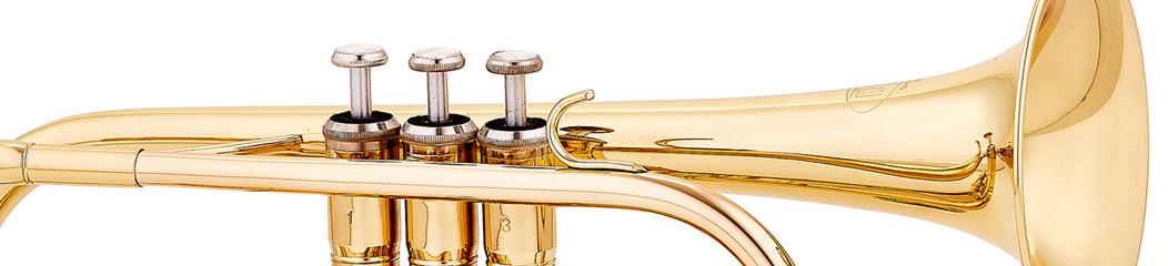 Bb Cornet 300 Bb, basic