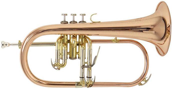 Student flugelhorn