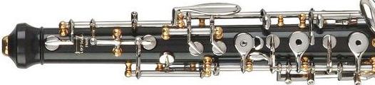 Professional oboe model A