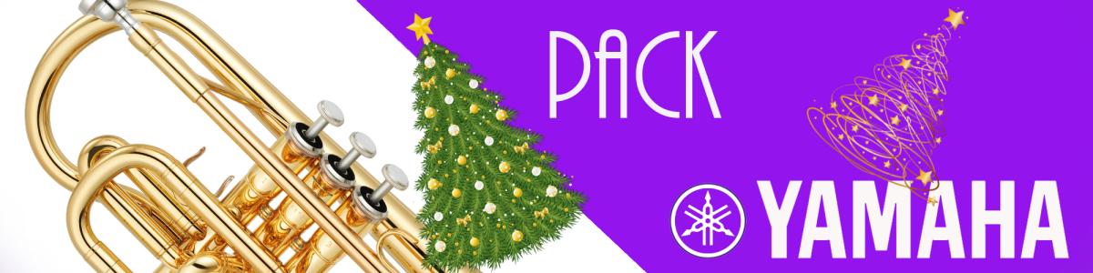 Yamaha cornet pack YCR2330III