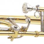 YAMAHA BRASS YSL-350 C