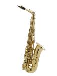 MUSIQUE & ART SELMER AXOS Pack