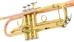 BACH BTR351G