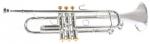 BACH VBS1S GOLD TRIM