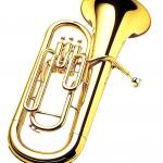 YAMAHA BRASS YEP-201