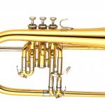 YAMAHA BRASS - YFH-631 G