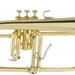 YAMAHA BRASS - YFH-8310 Z.