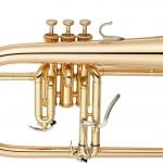 YAMAHA BRASS YFH-8310 Z.