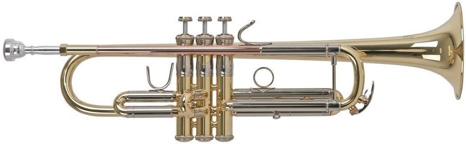 Bb trumpet